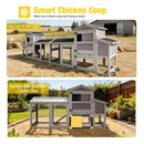 Large 83-Inch Mobile Chicken Coop With Wheels And Nesting Box [4-6 Chickens] (SAK81360) - Saksby Wholesale - Lifestyle Image In The Farm