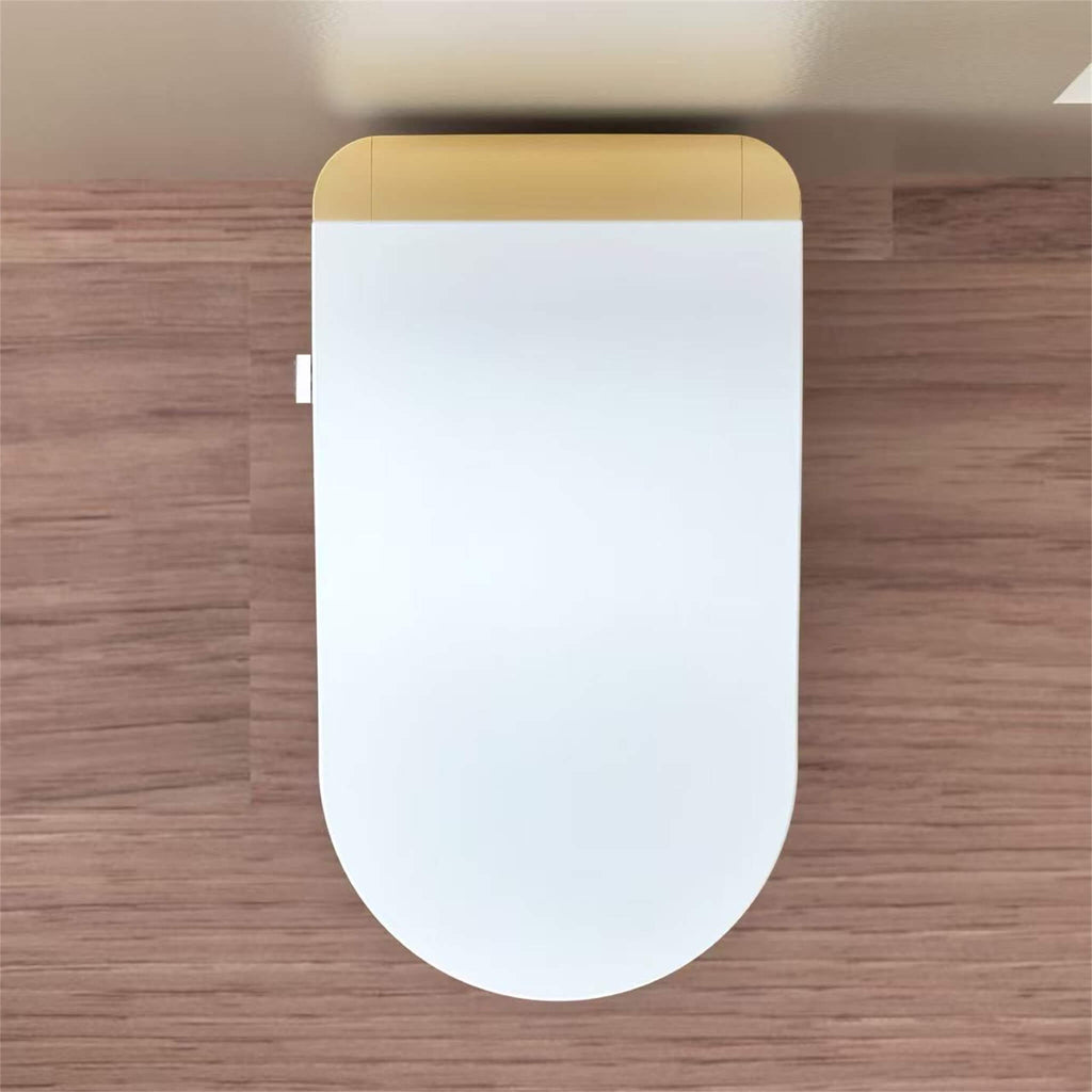 Luxury Heated Smart Powerful Bidet Toilet With Auto Flush And Built-In Deodorizer (SAK39213) - Sasksby Wholesale - Top View
