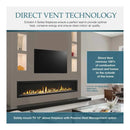 MAJESTIC ECHELON II 48" See-Through Direct Vent Fireplace [ECHEL48STIN-C] SAKSBY - Features View