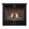 MONESSEN 24" Traditional Style Vent-Free Natural Gas Fireplace With IPI control System [VFC24LNI] (SAK59142)