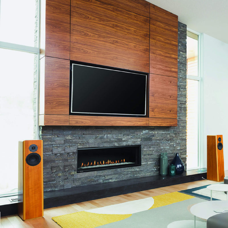 Montigo DelRay 48" Linear Direct Vent Gas Fireplace [DRL4813NI] (SAK56049) SAKSBY - Living Room View