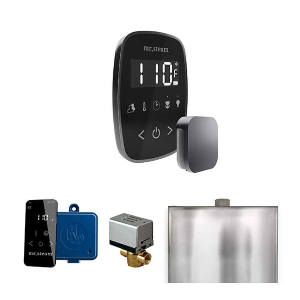 Mr.Steam ButlerFlex Steam Shower Control Package w/ TempoFlex Control (SAK38129) - Saksby Wholesale - Satin Steel View