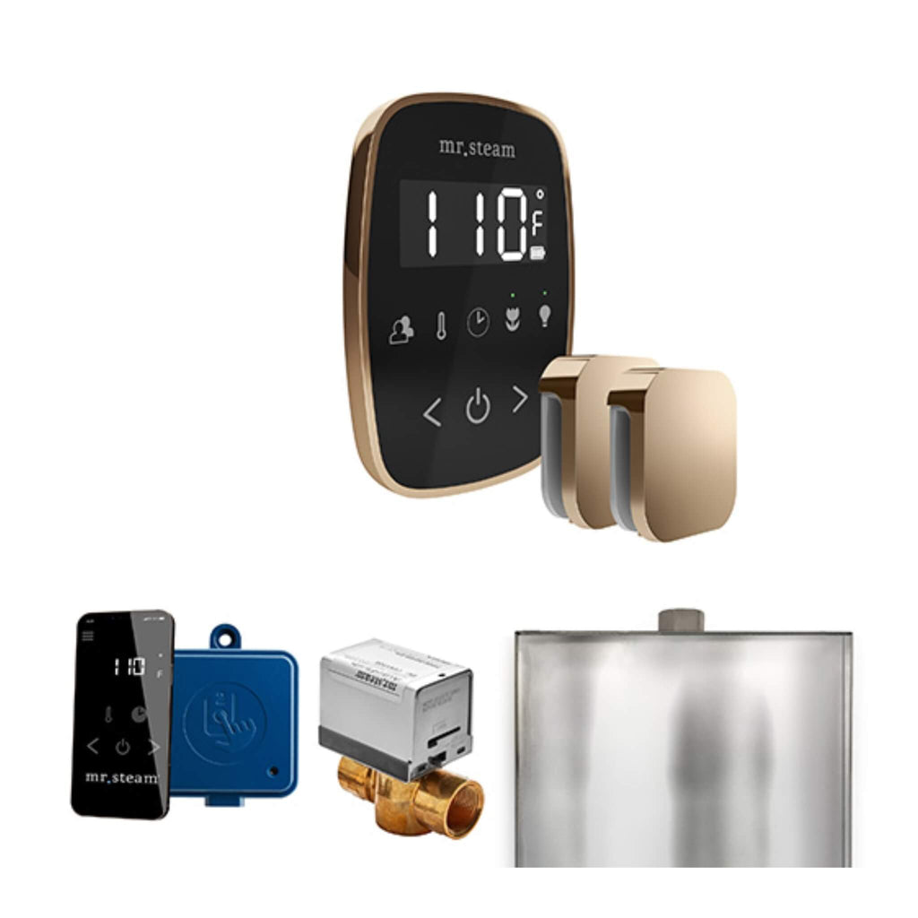 Mr.Steam ButlerFlex Steam Shower Control Package w/ TempoFlex Control and Aroma SteamHeads (SAK92375) - Saksby Wholesale - Polished Nickel View