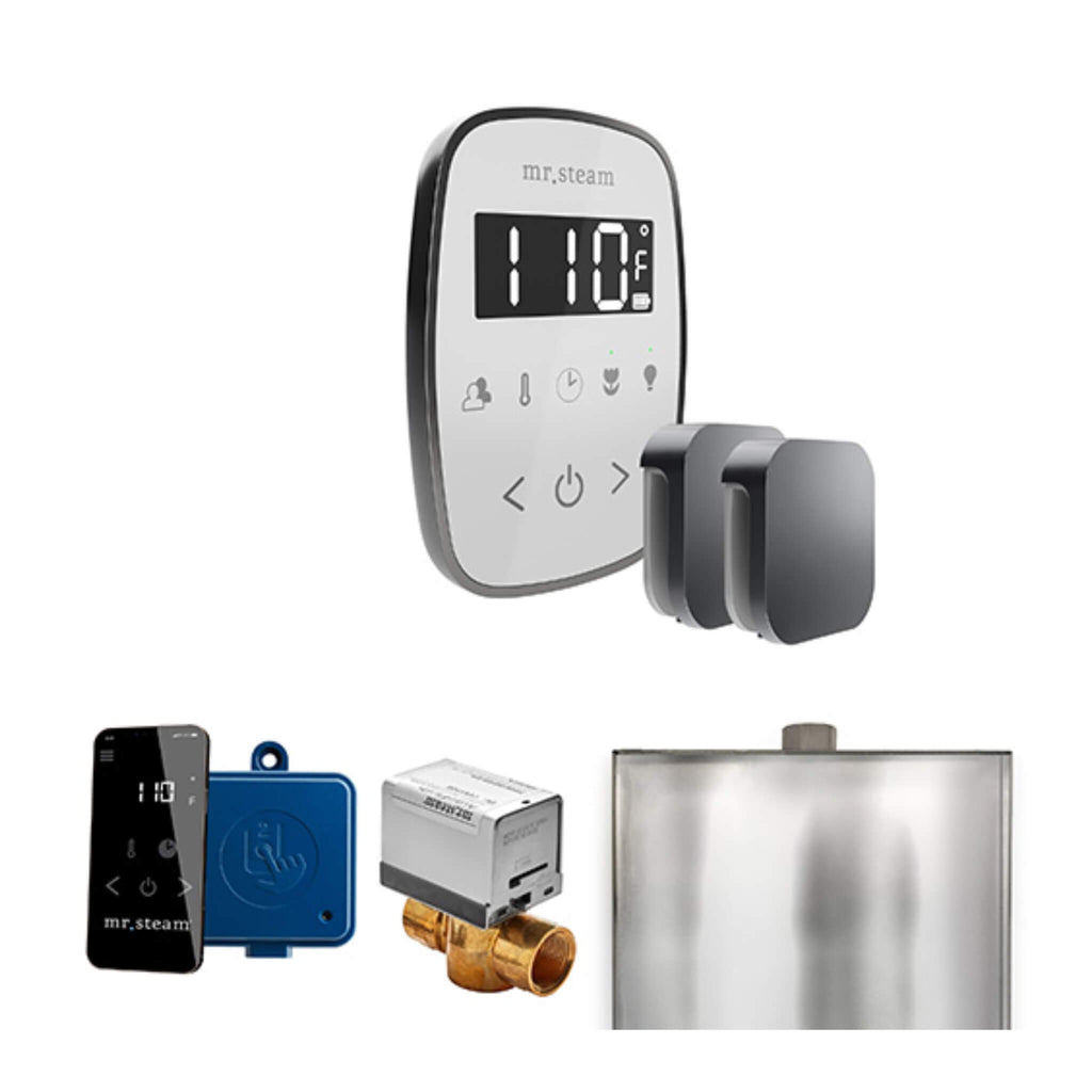 Mr.Steam ButlerFlex Steam Shower Control Package w/ TempoFlex Control and Aroma SteamHeads (SAK92375) - Saksby Wholesale - Satin Steel View