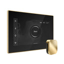 Mr.Steam iSteamX Steam Shower Control w/ Aroma SteamHead (SAK42217) - Saksby Wholesale - Polished Brass View