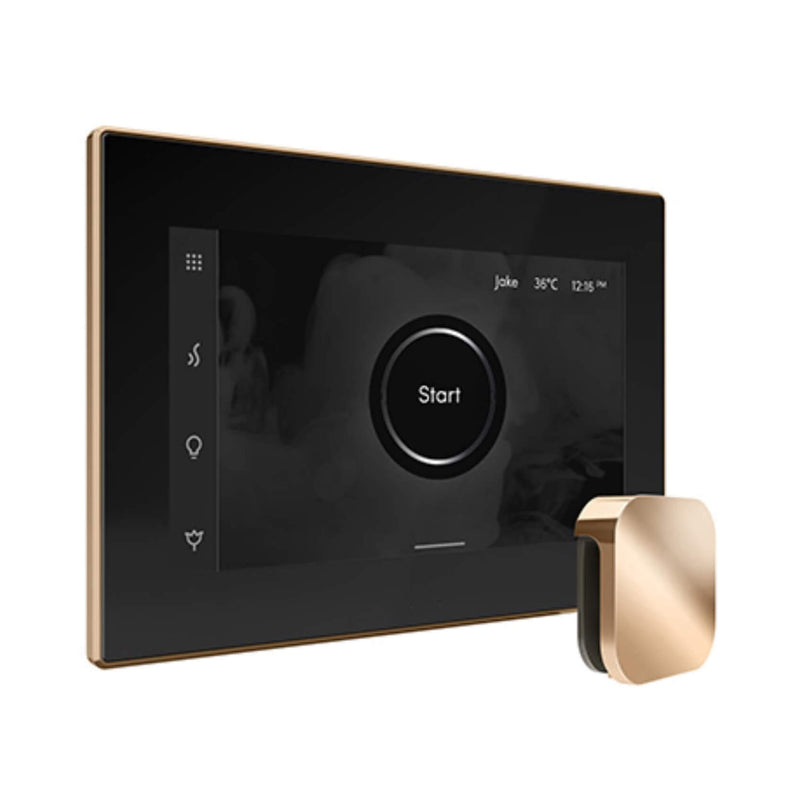 Mr.Steam iSteamX Steam Shower Control w/ Aroma SteamHead (SAK42217) - Saksby Wholesale - Polished Gold View