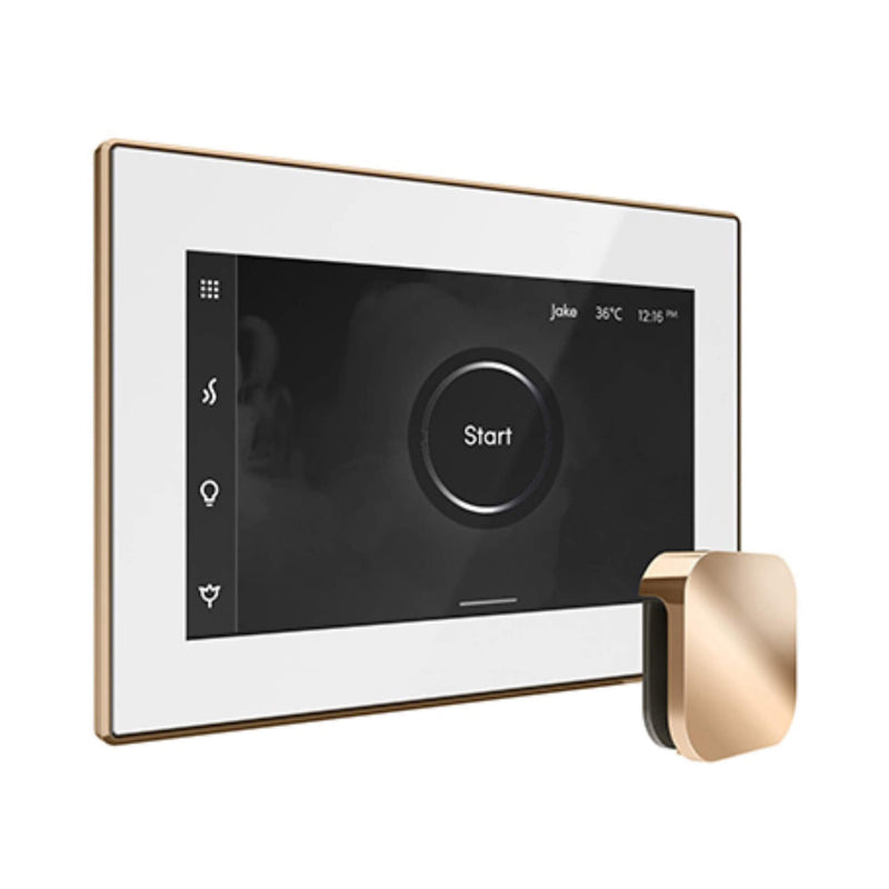 Mr.Steam iSteamX Steam Shower Control w/ Aroma SteamHead (SAK42217) - Saksby Wholesale - Polished Gold View
