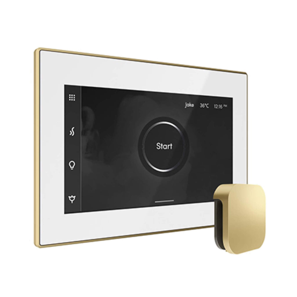 Mr.Steam iSteamX Steam Shower Control w/ Aroma SteamHead (SAK42217) - Saksby Wholesale - Satin Brass View