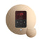Mr.Steam iTempo Steam Shower Control w/ Aroma Designer Finish SteamHead (SAK92152) - Polished Gold View