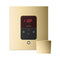Mr.Steam iTempo Steam Shower Control w/ Aroma Designer Finish SteamHead (SAK92152) - Polished Brass View
