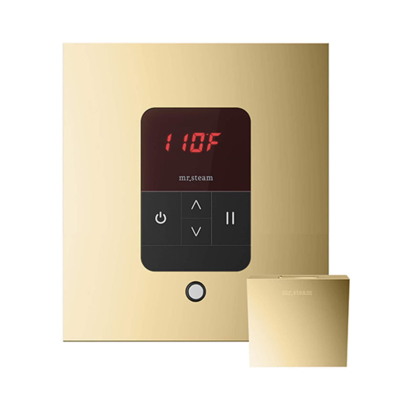 Mr.Steam iTempo Steam Shower Control w/ Aroma Designer Finish SteamHead (SAK92152) - Polished Brass View