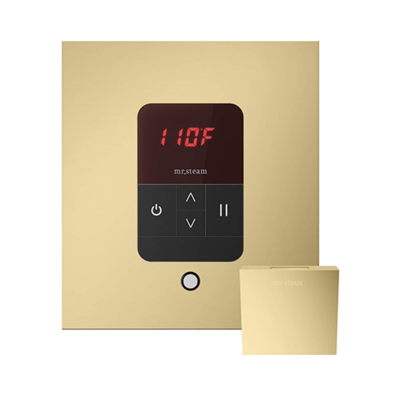 Mr.Steam iTempo Steam Shower Control w/ Aroma Designer Finish SteamHead (SAK92152) - Satin Brass View