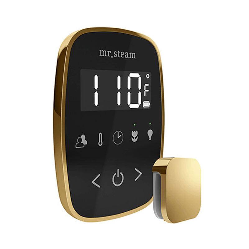 Mr.Steam TempoFlex Steam Shower Control With Aroma SteamHead (SAK62841)