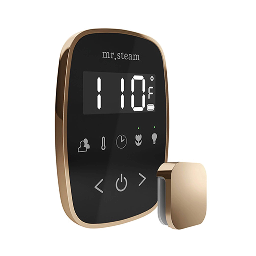Mr.Steam TempoFlex Steam Shower Control With Aroma SteamHead (SAK62841)