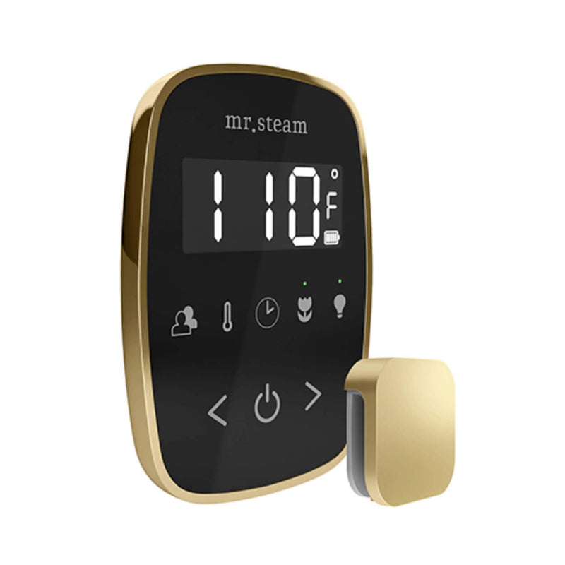 Mr.Steam TempoFlex Steam Shower Control w/ Aroma SteamHead (SAK62841) - Saksby Wholesale - Satin Brass View