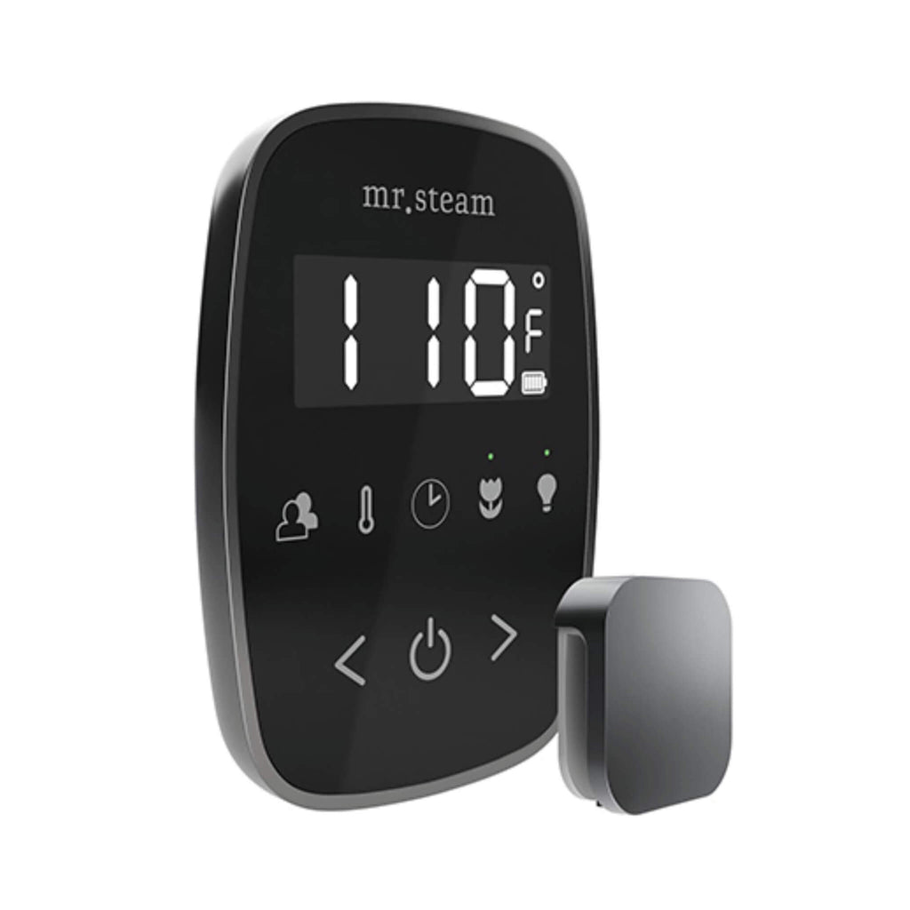 Mr.Steam TempoFlex Steam Shower Control w/ Aroma SteamHead (SAK62841) - Saksby Wholesale - Satin Steel View