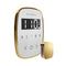 Mr.Steam TempoFlex Steam Shower Control With Aroma SteamHead (SAK62841)