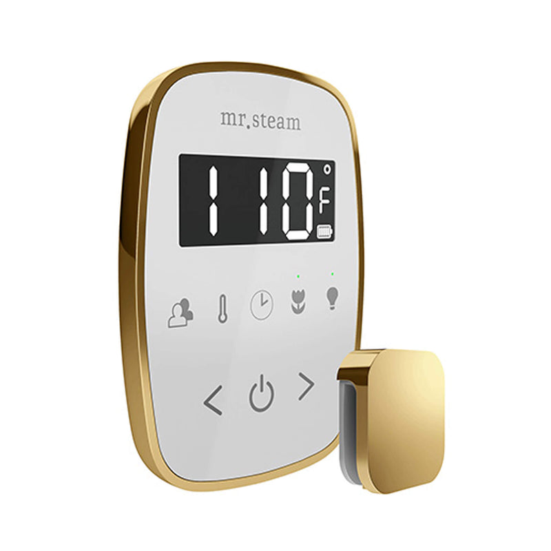 Mr.Steam TempoFlex Steam Shower Control With Aroma SteamHead (SAK62841)
