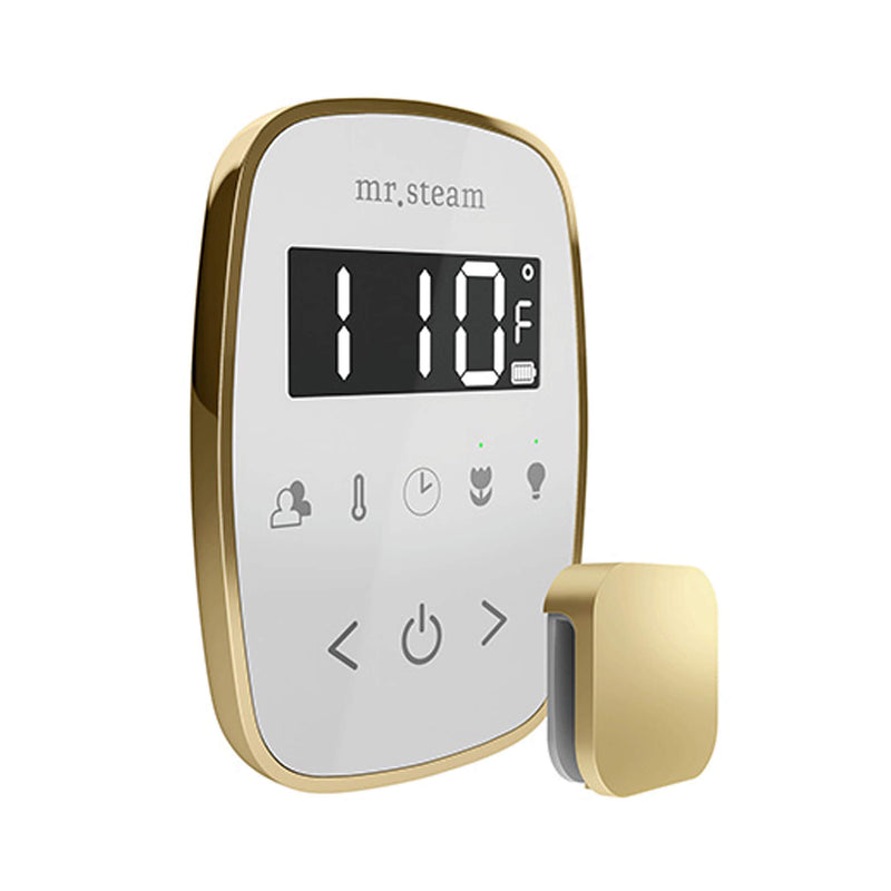 Mr.Steam TempoFlex Steam Shower Control With Aroma SteamHead (SAK62841)