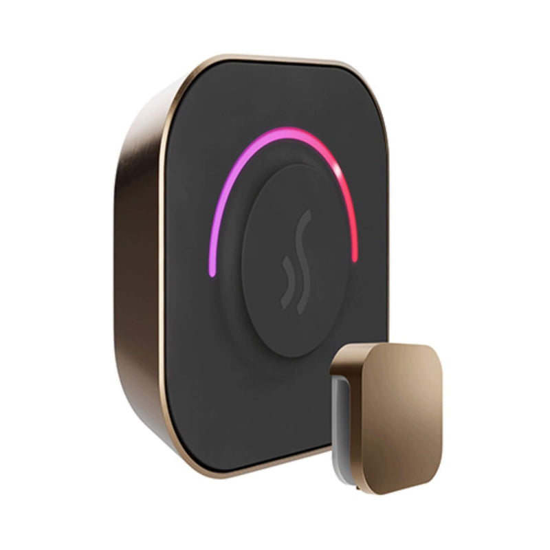 Mr.Steam TempoTouch Steam Shower Control w/ Aroma SteamHead (SAK10429) - Saksby Wholesale - Nouveau Bronze View