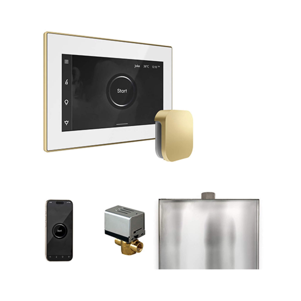 Mr.Steam XButler Steam Shower Control Package w/ iSteamX Control and AutoFlush System (SAK10782) - Saksby Wholesale - Satin Brass View