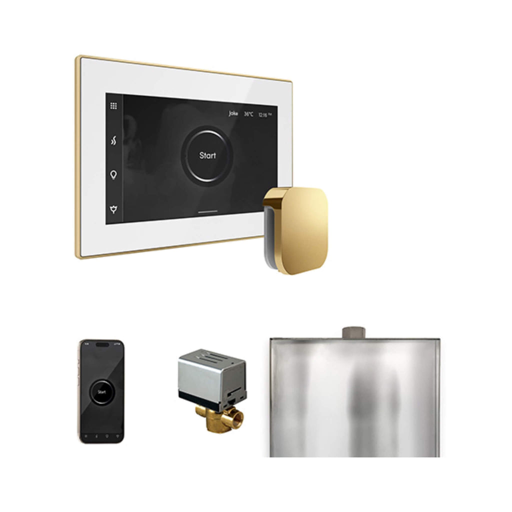 Mr.Steam XButler Steam Shower Control Package w/ iSteamX Control and AutoFlush System (SAK10782) - Saksby Wholesale - Polished Brass View