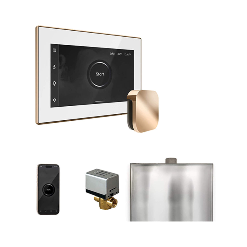Mr.Steam XButler Steam Shower Control Package w/ iSteamX Control and AutoFlush System (SAK10782) - Saksby Wholesale - Polished Gold View