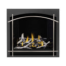 Napoleon Altitude X Direct Vent 36" Natural Gas Fireplace [AX36NTE-1] (SAK61243) - Saksby Wholesale - Black Brick Design View