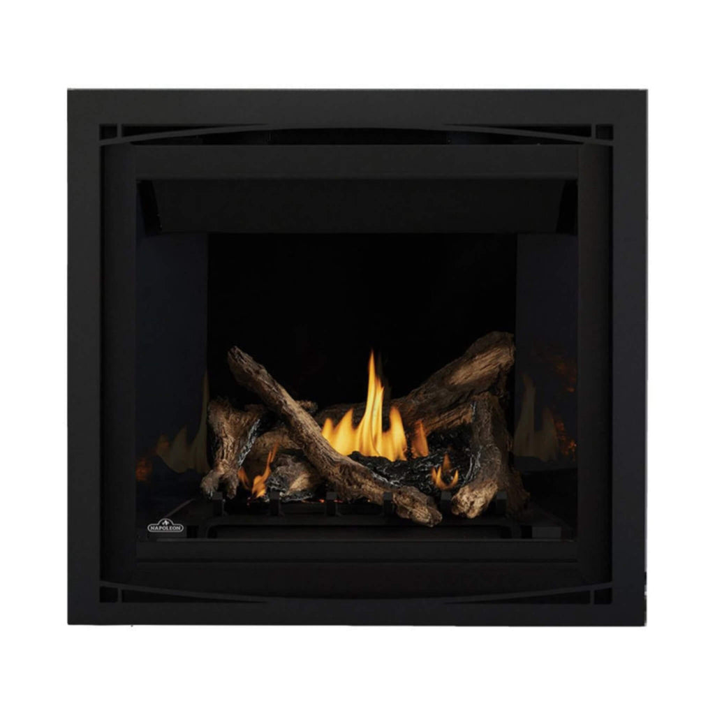 Napoleon Altitude X Direct Vent 42" Propane Fireplace [AX42PTE-1] SAKSBY - Flames View