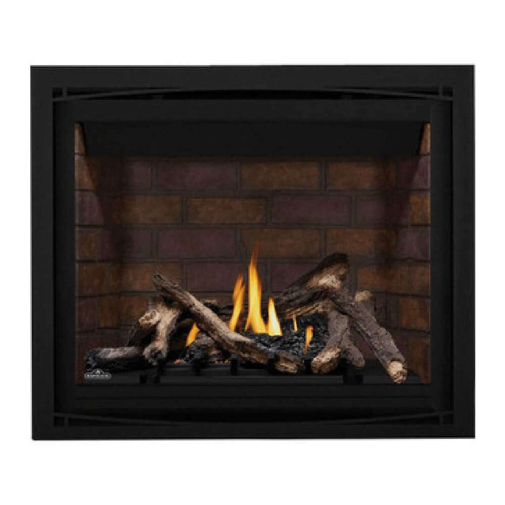 NAPOLEON ALTITUDE X Direct Vent 42" Propane Fireplace [AX42PTE-1] SAKSBY - Accessories View