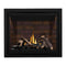 NAPOLEON ALTITUDE X Direct Vent 42" Propane Fireplace [AX42PTE-1] SAKSBY - Accessories View