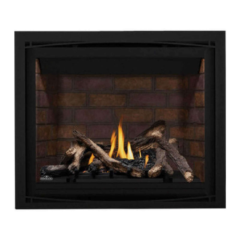 NAPOLEON ALTITUDE X Direct Vent 42" Propane Fireplace [AX42PTE-1] SAKSBY - Accessories View