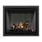 NAPOLEON ALTITUDE X Direct Vent 42" Propane Fireplace [AX42PTE-1] SAKSBY - Front View