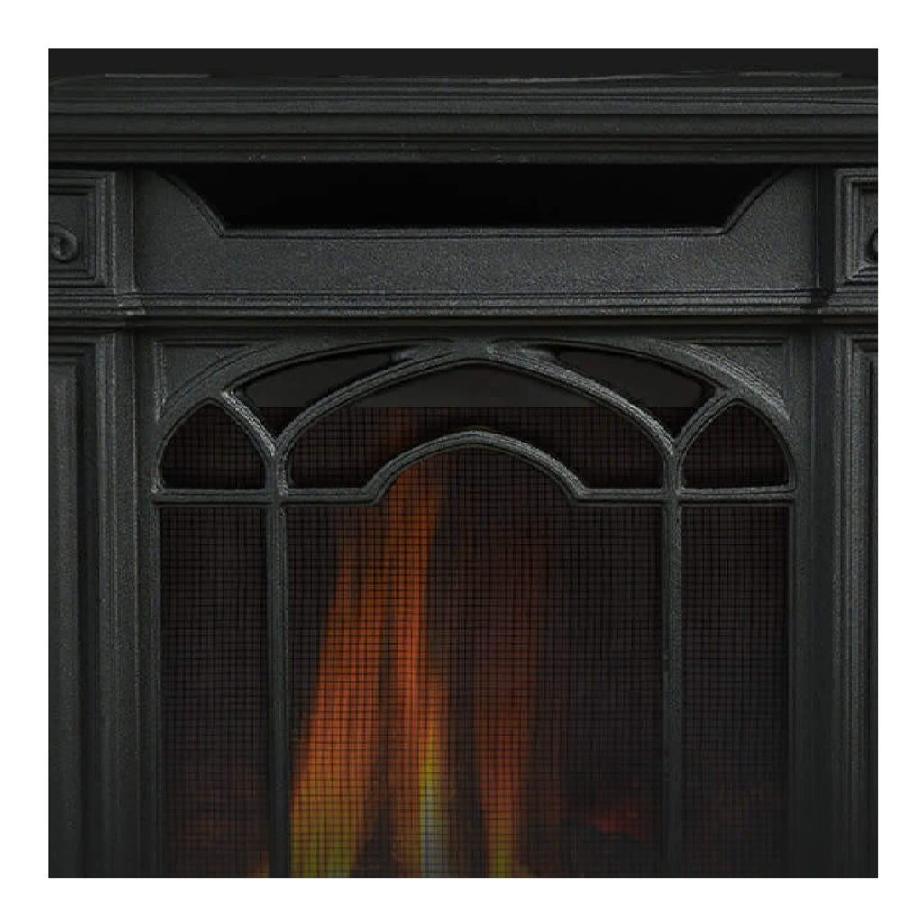 Napoleon Arlington 20 Cast Iron Millivolt Ignition Majolica Brown Natural Gas Stove, 19" [GDS20NNSB] (SAK43798) SAKSBY - Door View