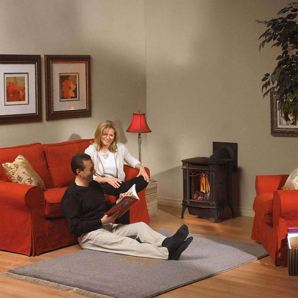 NAPOLEON ARLINGTON Cast Iron Millivolt Ignition Majolica Brown Natural Gas Stove  Living Room View - SAKSBY