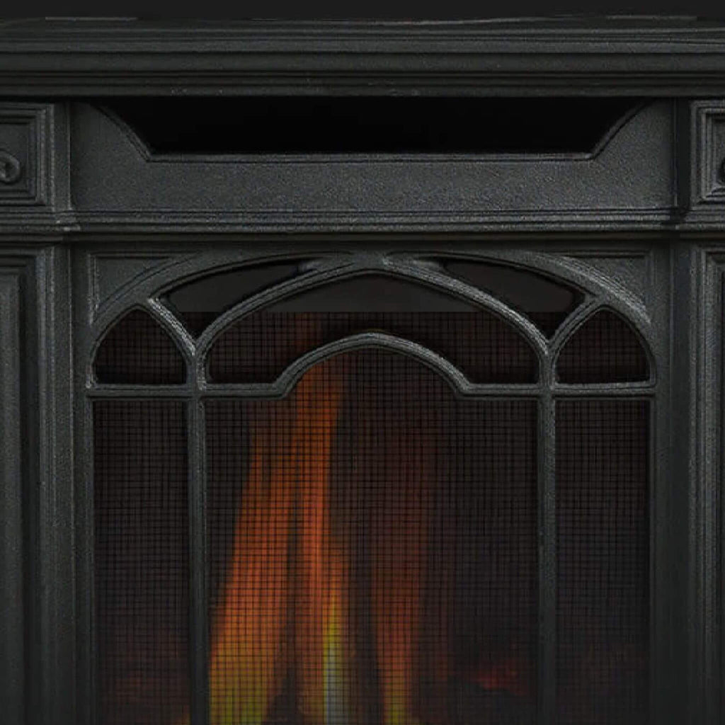 Napoleon Arlington 20 Cast Iron Millivolt Ignition Majolica Brown Natural Gas Stove, 19" [GDS20NNSB] (SAK43798) - Saksby Wholesale - Door View