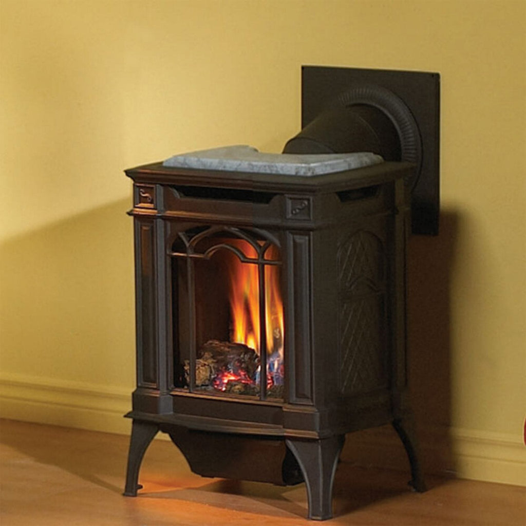 NAPOLEON ARLINGTON 20 Cast Iron Millivolt Ignition Natural Gas Stove, 19" [GDS20NSB] (SAK93714) - Front Left View