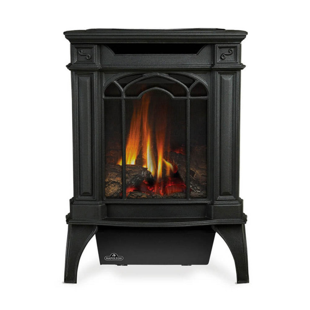 NAPOLEON ARLINGTON 20 Cast Iron Direct Vent Metallic Black Natural Gas Stove, 19" [GDS20NE] (SAK18258) - With White Background View