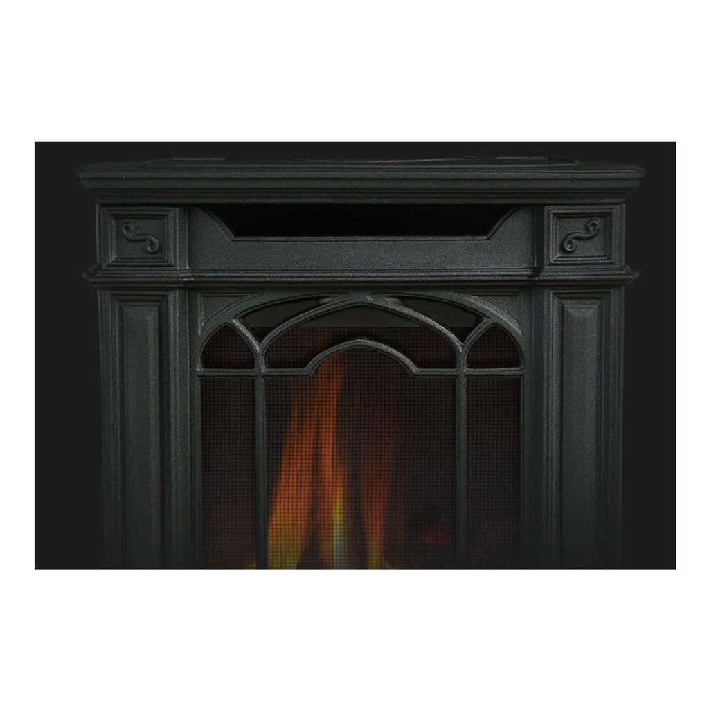 Napoleon Arlington 20 Cast Iron Direct Vent Metallic Black Natural Gas Stove, 19" [GDS20NE] (SAK18258) SAKSBY - Accessories View