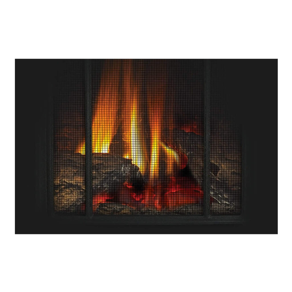 Napoleon Arlington 20 Cast Iron Direct Vent Metallic Black Natural Gas Stove, 19" [GDS20NE] (SAK18258) SAKSBY - Accessories View