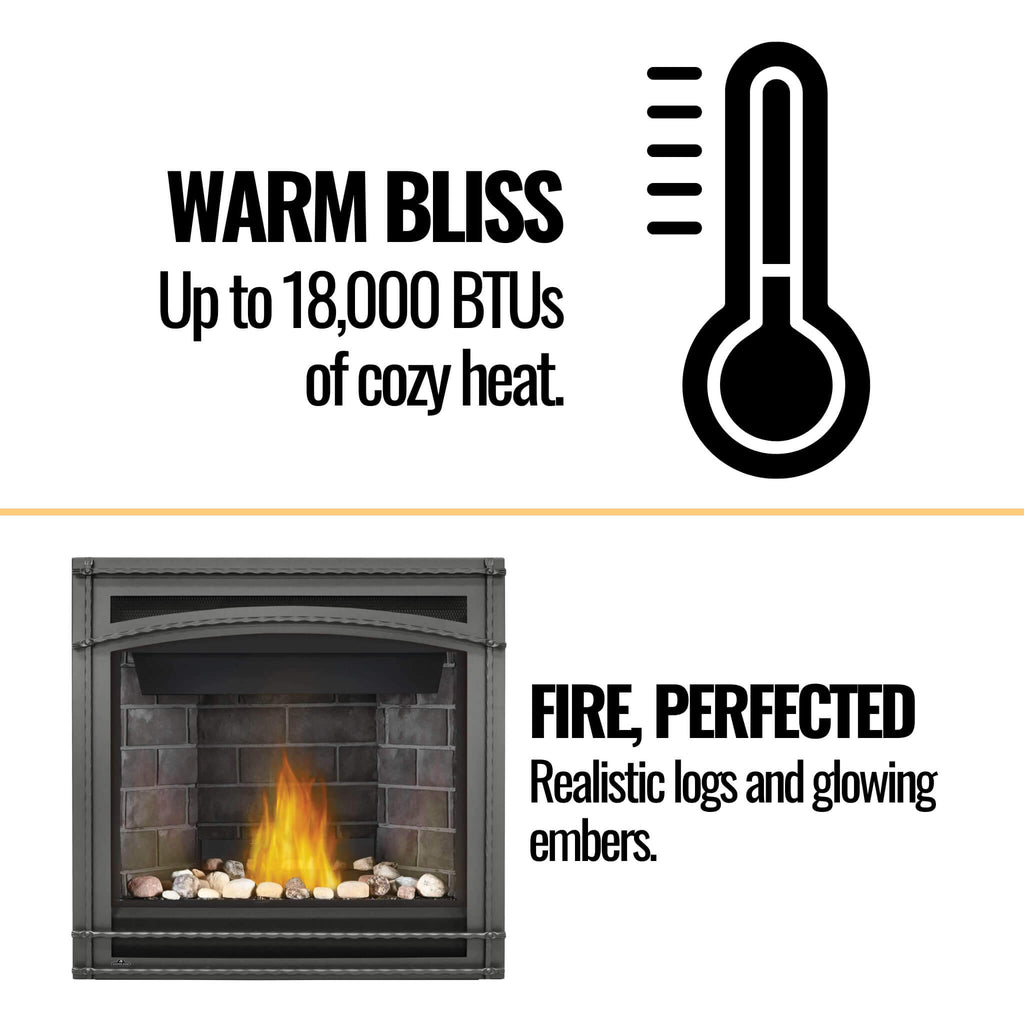 Napoleon Ascent 36 Direct Vent Millivolt Ignition Natural Gas Fireplace, 35-Inch [B36NTR-1] (SAK85316) - Saksby Wholesale - Features View