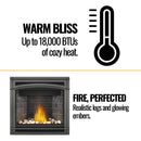 Napoleon Ascent 36 Direct Vent Millivolt Ignition Natural Gas Fireplace, 35-Inch [B36NTR-1] (SAK85316) - Saksby Wholesale - Features View