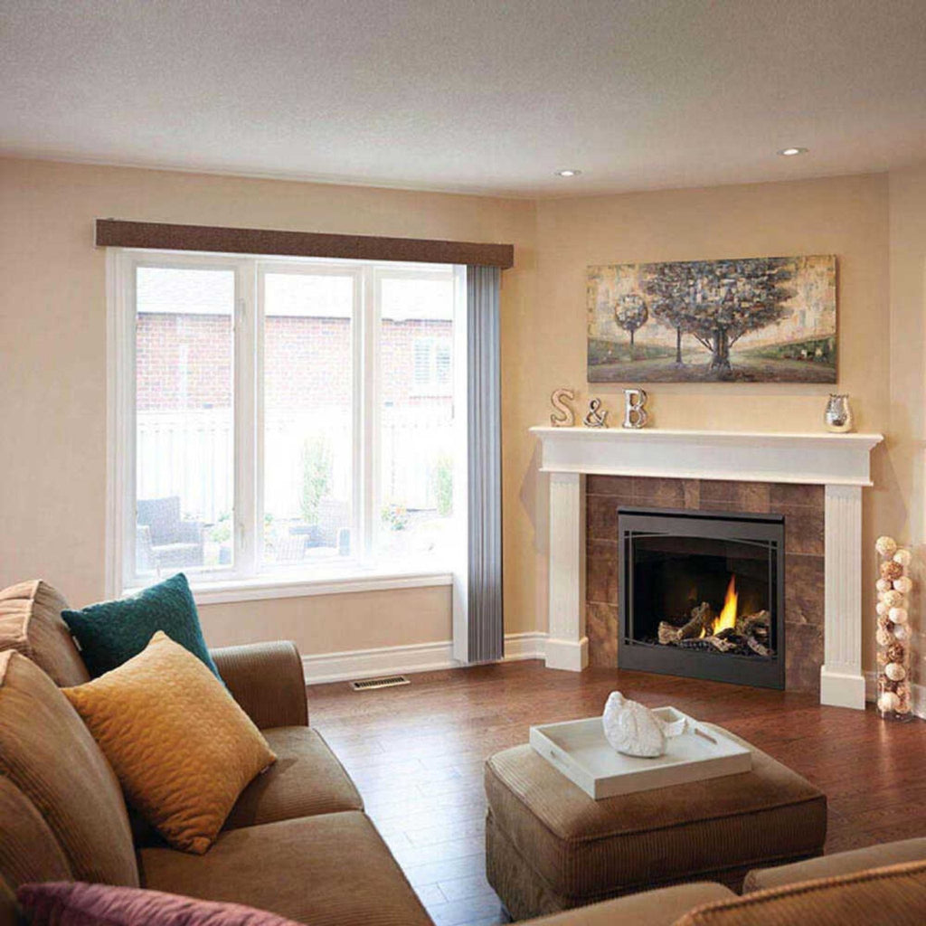 Napoleon Ascent 36 Direct Vent Millivolt Ignition Natural Gas Fireplace, 35-Inch [B36NTR-1] (SAK85316) - Saksby Wholesale - Living Room View