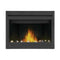 NAPOLEON ASCENT 42 Direct Vent Millivolt Ignition Propane Gas Fireplace [B42N/PTR] (SAK91456) - Front View