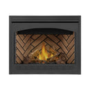 napoleon-ascent-42-direct-vent-millivolt-ignition-propane-gas-fireplace-b42n-ptr-sak91456 - Brown Bricks With Surround Accessories View