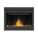 Napoleon Ascent 42 Direct Vent Millivolt Ignition Propane Gas Fireplace [B42N/PTR] SAKSBY - Saksby Wholesale - Flames View