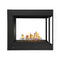 NAPOLEON ASCENT Multi-View 3 Sided Glass Ember Bed Direct Vent Natural Gas Fireplace [BHD4PGN] (HBG62815) - HBG