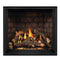 NAPOLEON ELEVATION X 42 Direct Vent Electronic Ignition Propane Gas Fireplace, 44" [EX42N/PTEL] (SAK83652) - Front View