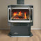 NAPOLEON HALIBURTON 50 Direct Vent Millivolt Ignition Compact Natural Gas Stove, 22" [GDS28-1NSB] (SAK81523) - Front View