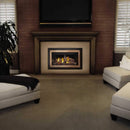 NAPOLEON INSPIRATION ZC Direct Vent Millivolt Ignition Natural Gas Fireplace Insert, 36" [GDIZC-NSB] (SAK58347) - Saksby Wholesale - Lifestyle Image In The Living Room